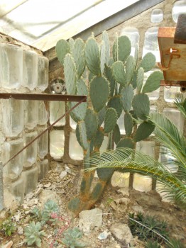 DSCN2707